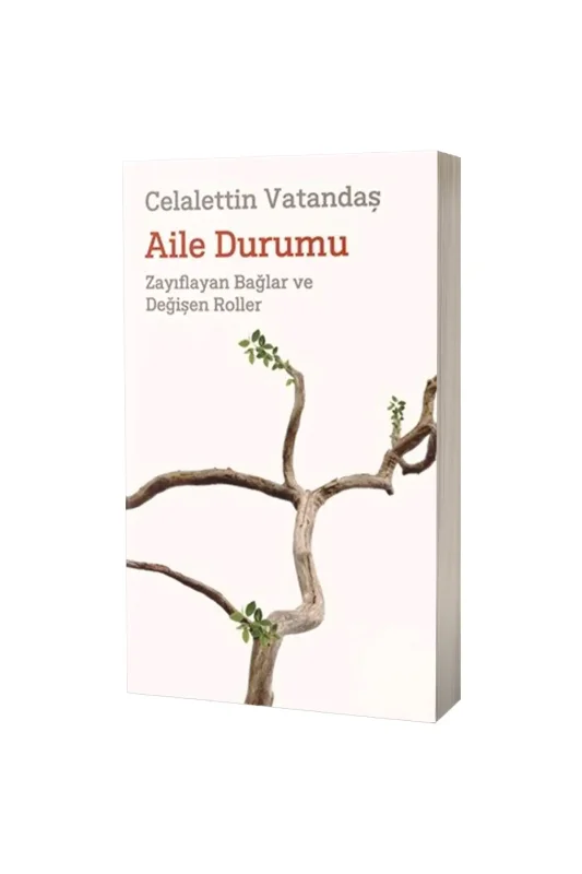 Aile Durumu - Pınar Yayıncılık