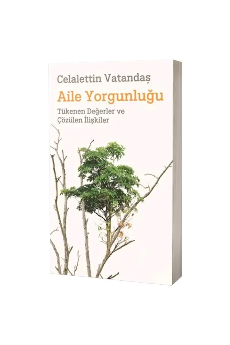 Aile Yorgunluğu - 1