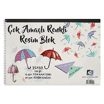 Alex Schoeller Resim Defteri 15 Fon 15 Resim Kğt 30 Yp 35 x 50 120 gr - 2