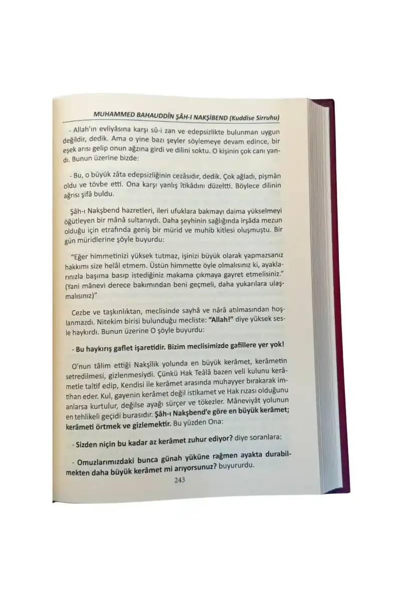 Altın Silsile - 4