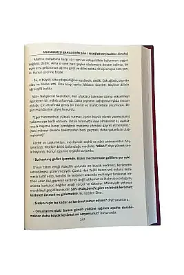 Altın Silsile - 4
