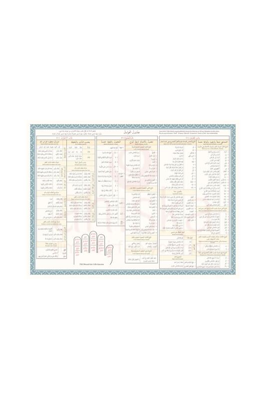 Avamil Şeması Renkli - Ahıska Yayınevi