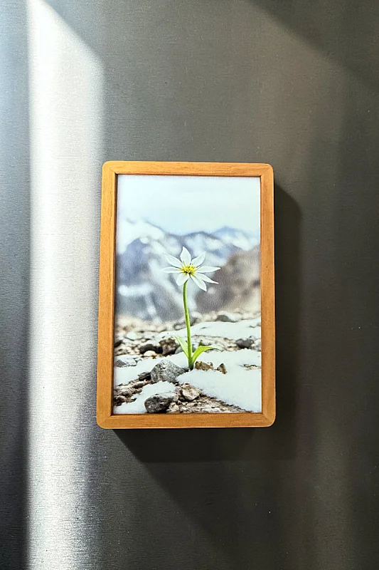 Beyaz Çiçek MiniDekor Magnet Ayaklı 9*13,5 cm - Bemenda