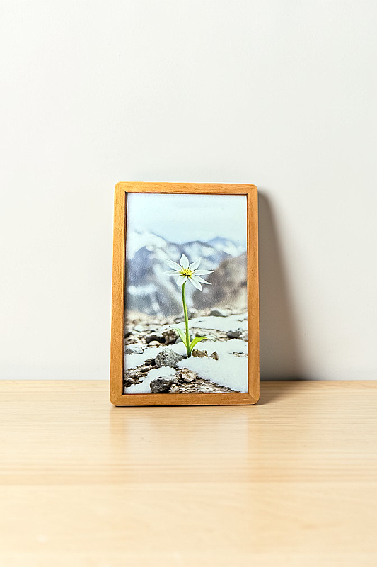 Beyaz Çiçek MiniDekor Magnet Ayaklı 9*13,5 cm - 2