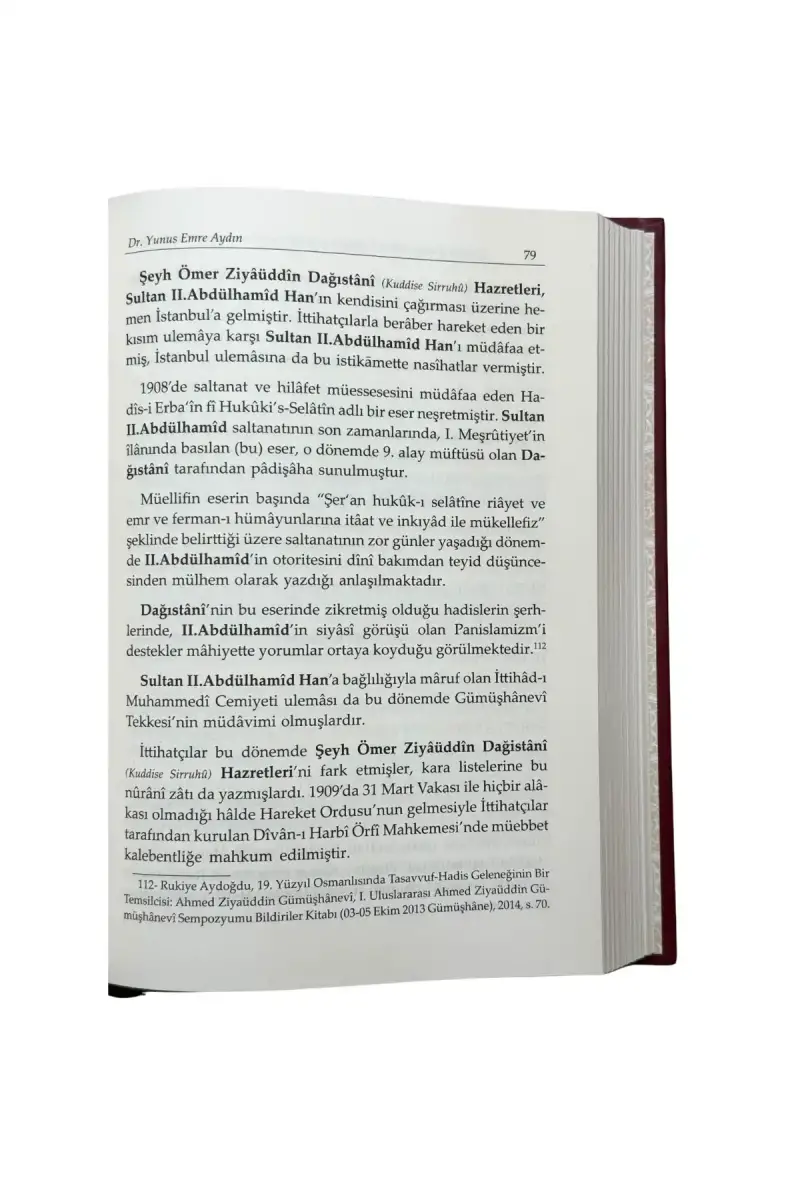Çınarın Kemali Sultan II. Abdülhamid Han - 4