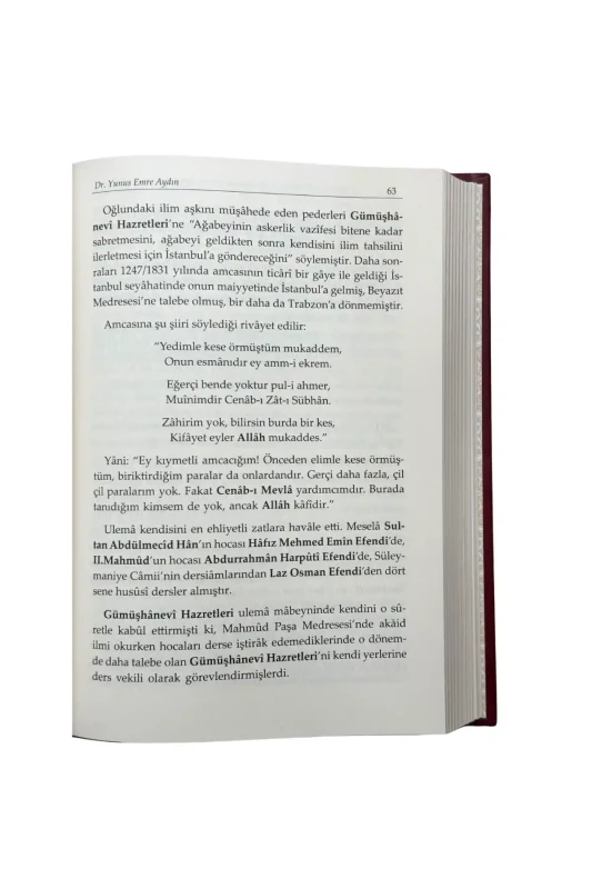 Çınarın Kemali Sultan II. Abdülhamid Han - 2