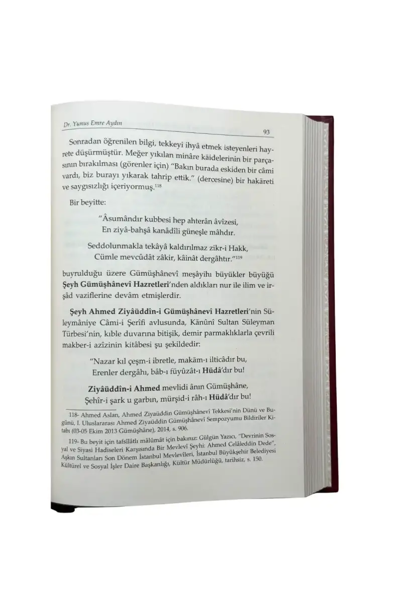 Çınarın Kemali Sultan II. Abdülhamid Han - 3