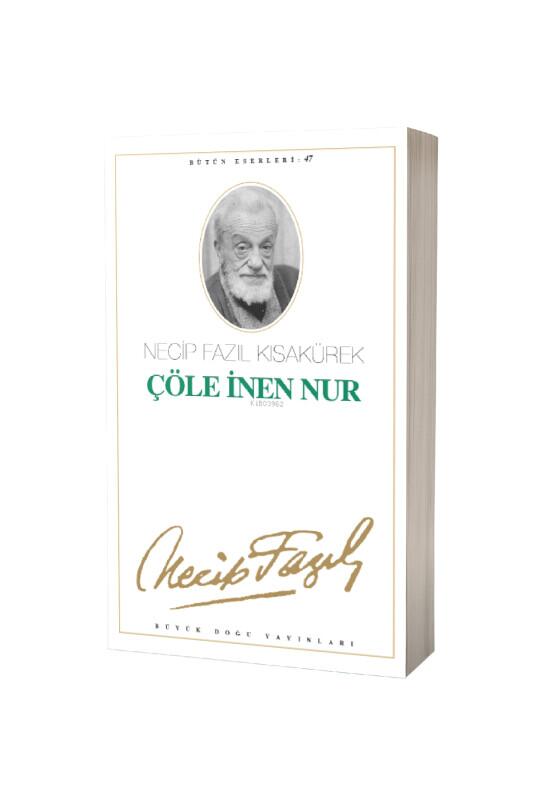 Çöle İnen Nur - Büyük Doğu Yayınları