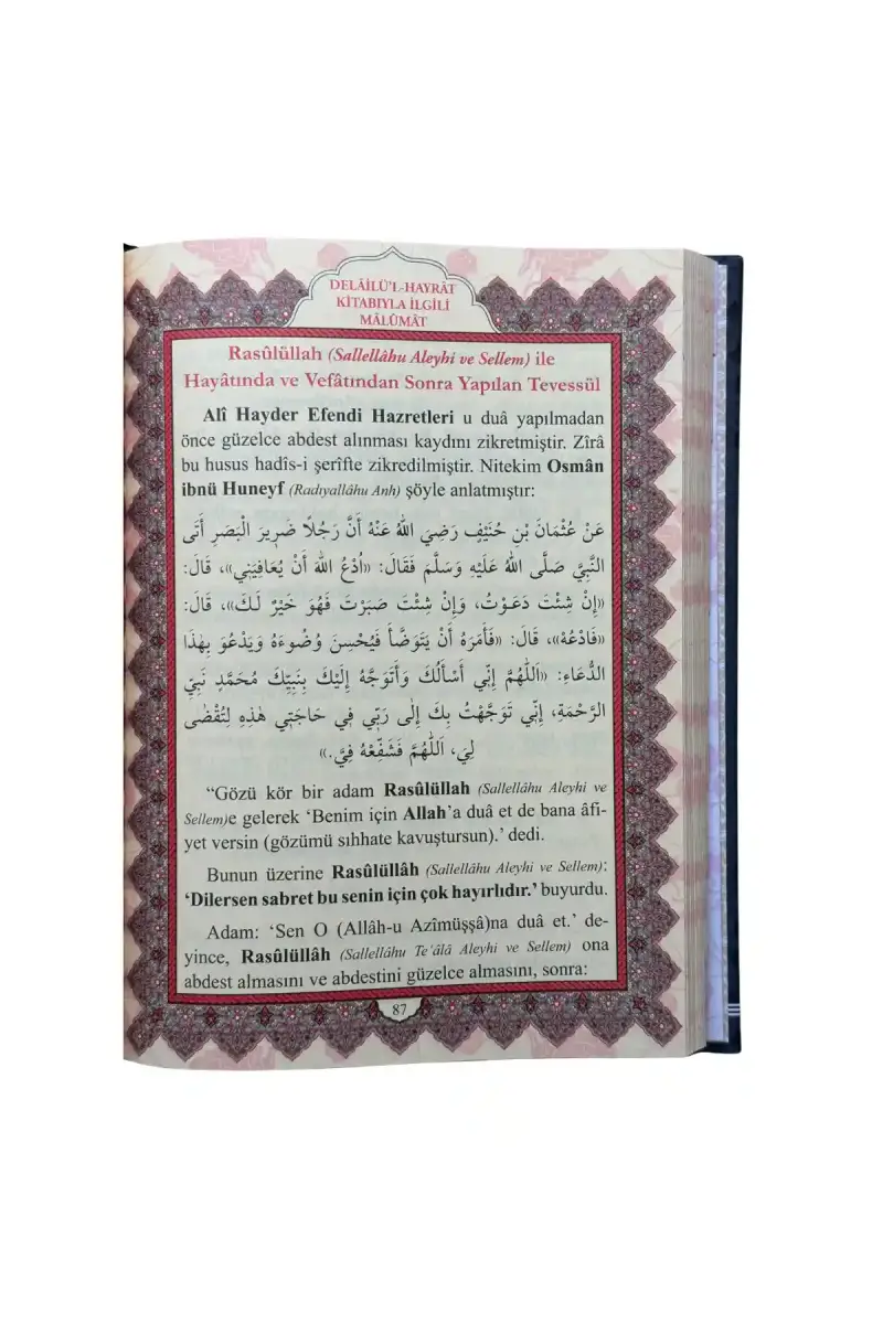 Delailül Hayrat Hafız Boy - Ciltli - 2