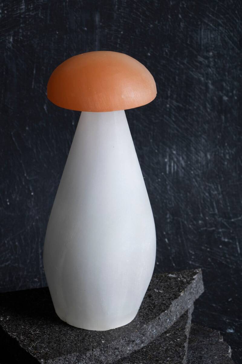 Doğal Taş Mantar Obje (S.K. 219) - 3