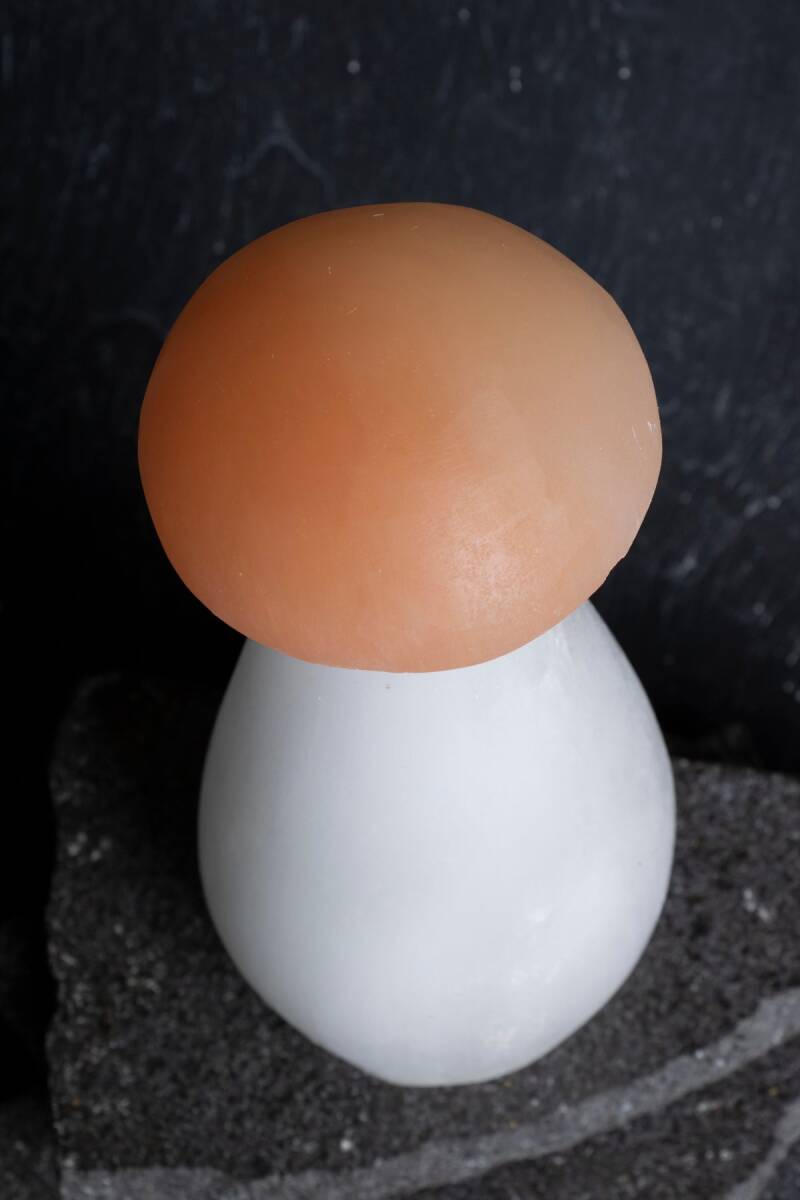 Doğal Taş Mantar Obje (S.K. 219) - 4