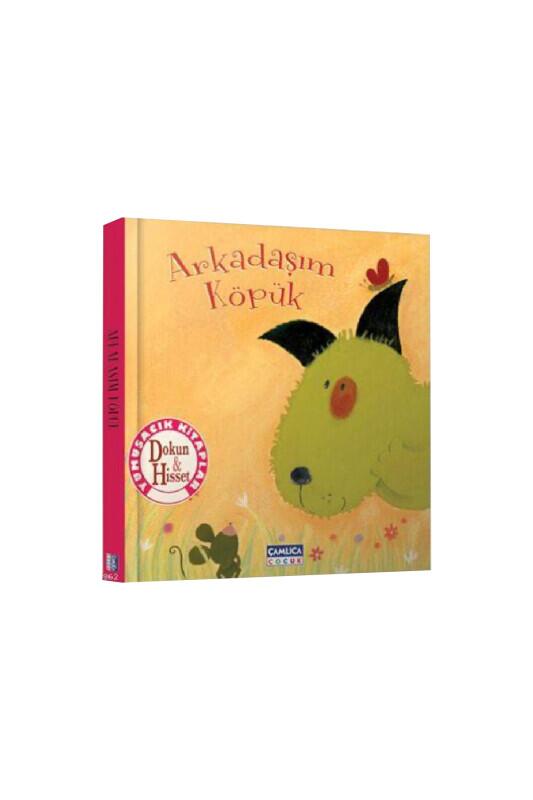 Dokun Hisset Arkadaşım Köpük - Çamlıca Çocuk Yayınları