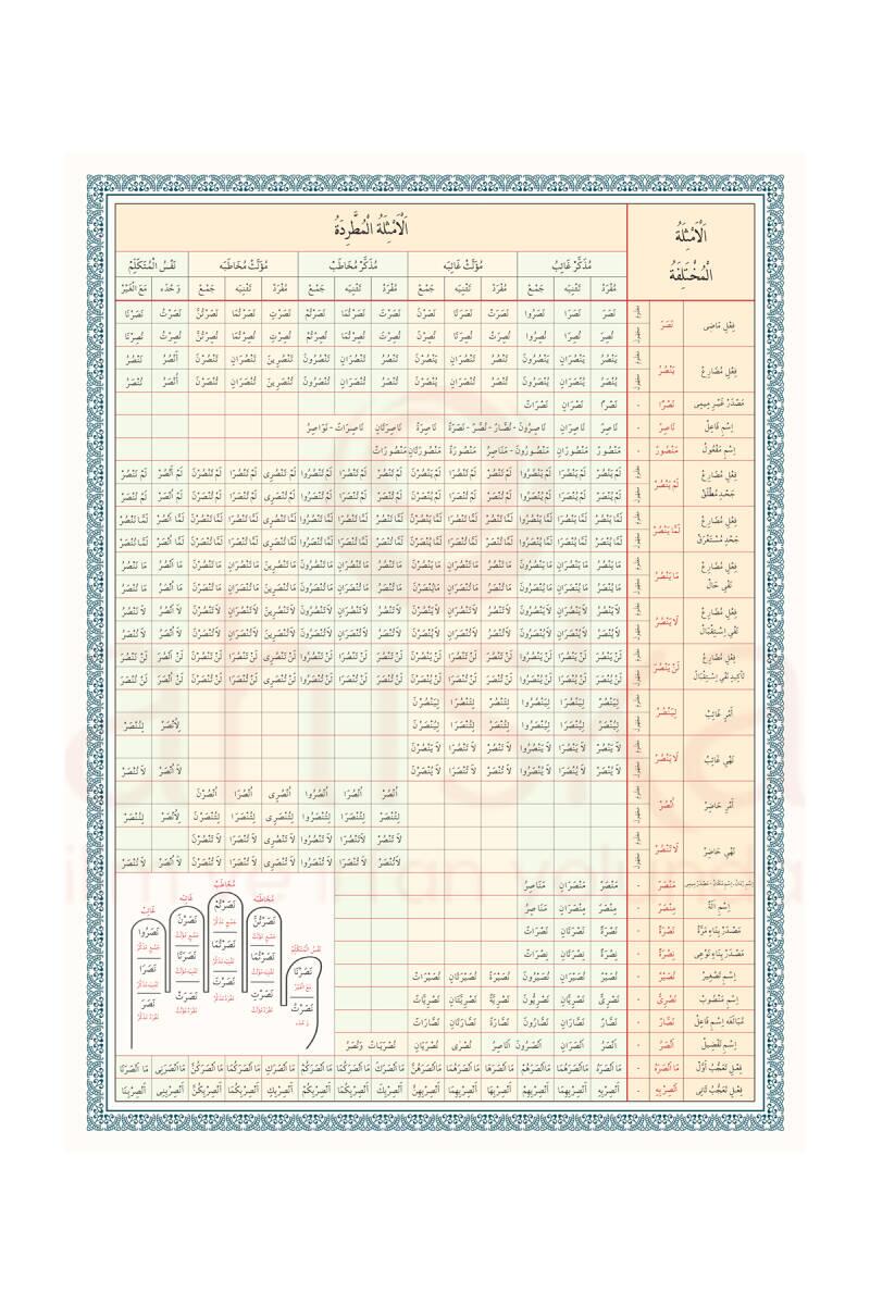 Emsile Bina Şeması Renkli - 1