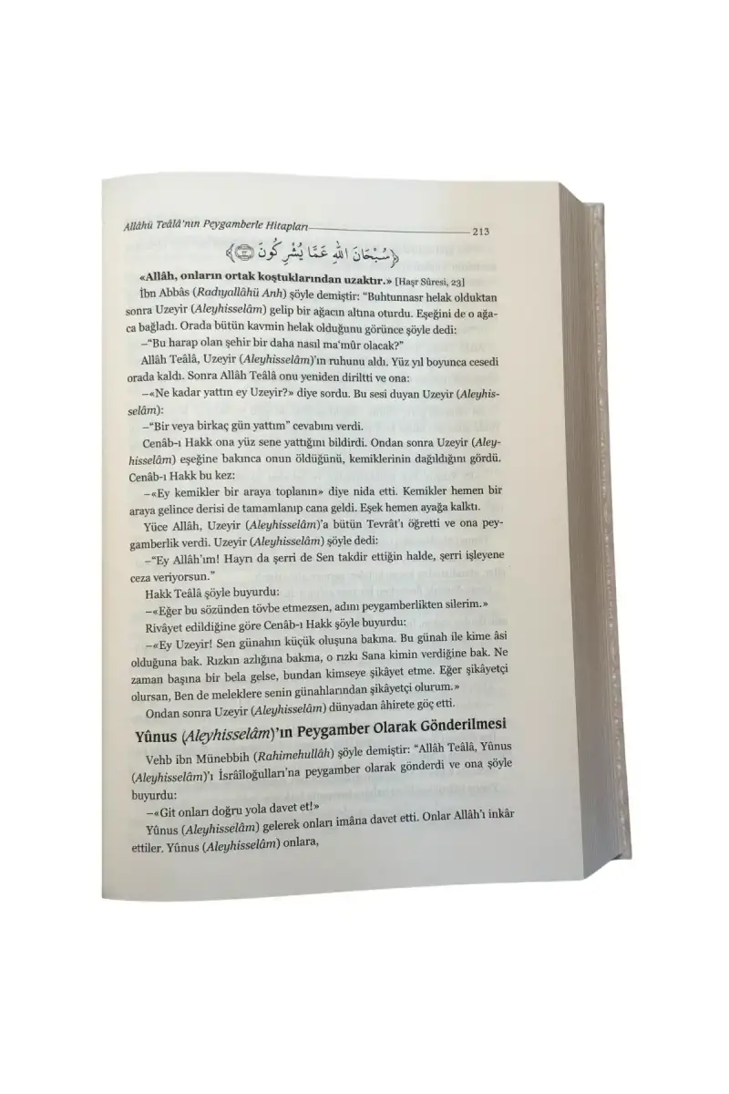 Envarül Aşıkin - 2