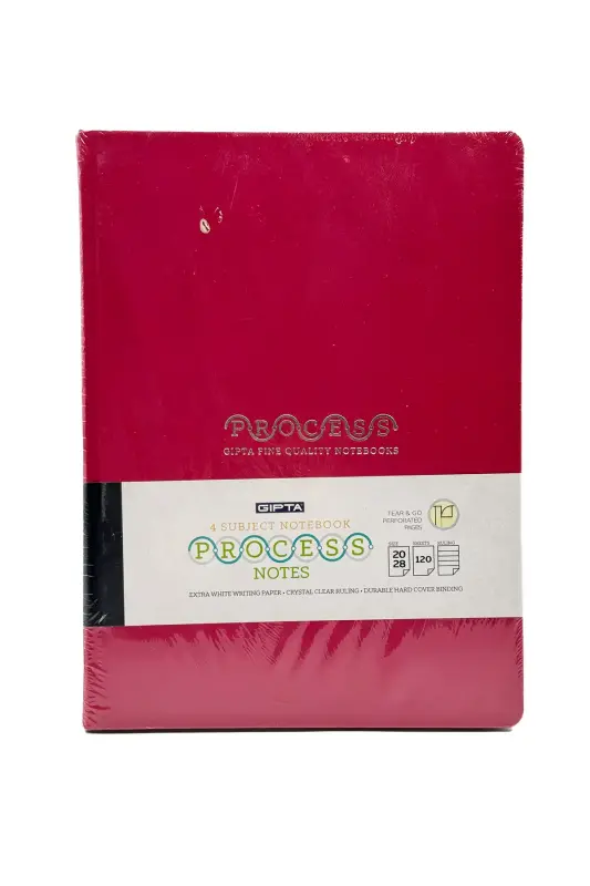 Gıpta Process Çizgili Defter 120 Yp 20x28 Sert Kapak - Gıpta