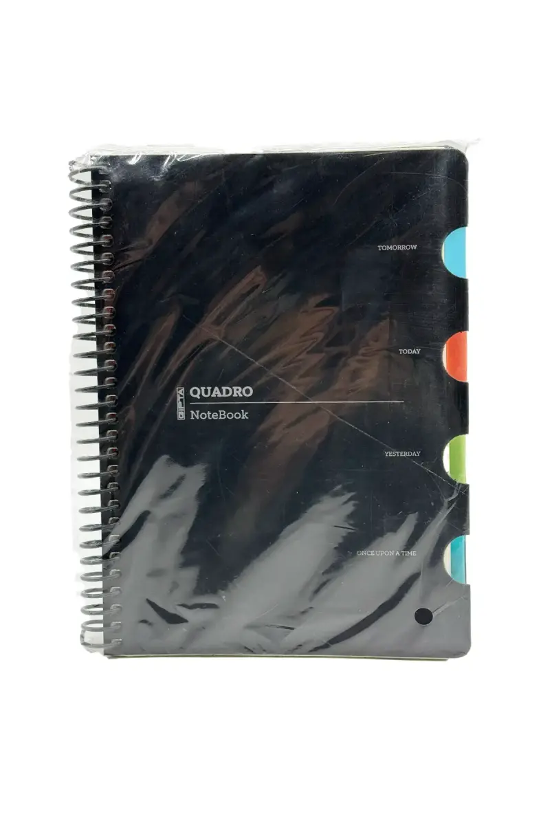 Gıpta Quadro Spiralli Defter Kareli 4 Seperatörlü 150 Yp 17x24 - 1