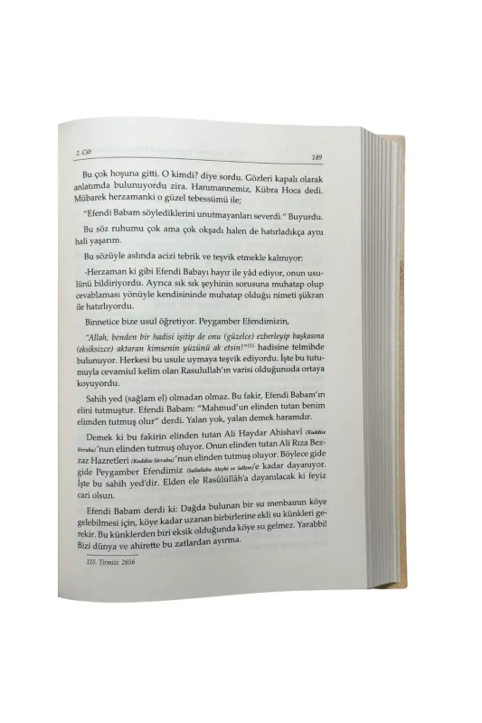 Hatıratı Muhterem Üstazım Müceddid Mahmud Ustaosmanoğlu - 2