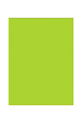 Herboy Fon Kartonu 25X35 No:13 F.Yeşil - 2