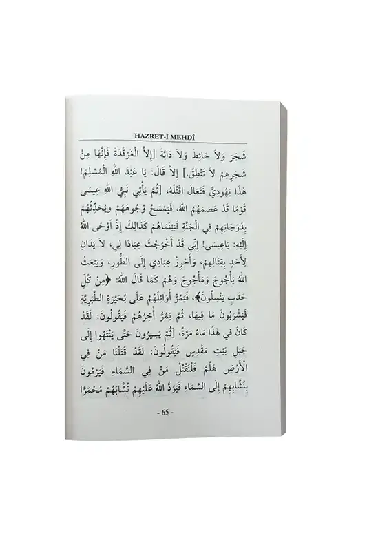 Hz. Mehdi - 3