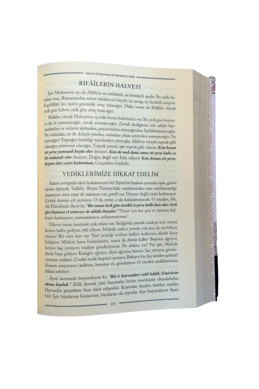 İrşad Sohbetleri - 2