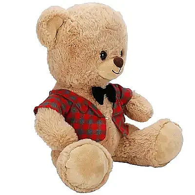 Kıyafetli Peluş Ayı 32 cm - 2