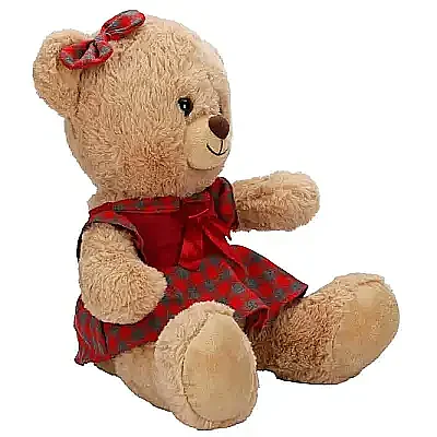 Kıyafetli Peluş Ayı 32 cm - 4