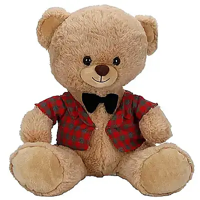 Kıyafetli Peluş Ayı 32 cm - 6