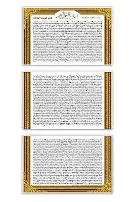 Korunmuş Sır Levhası Ahşap Tablo 48*25 cm - 4