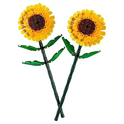 Lego Ay Çiçeği 40524 - 6