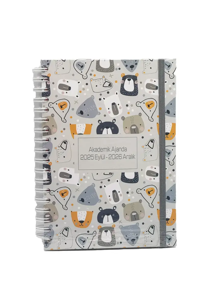 Liz Ajanda 17X24 Akademik Spr. - 1