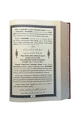 Mahmud Efendi Hazretlerinden Şiirler ve Beyitler - 8