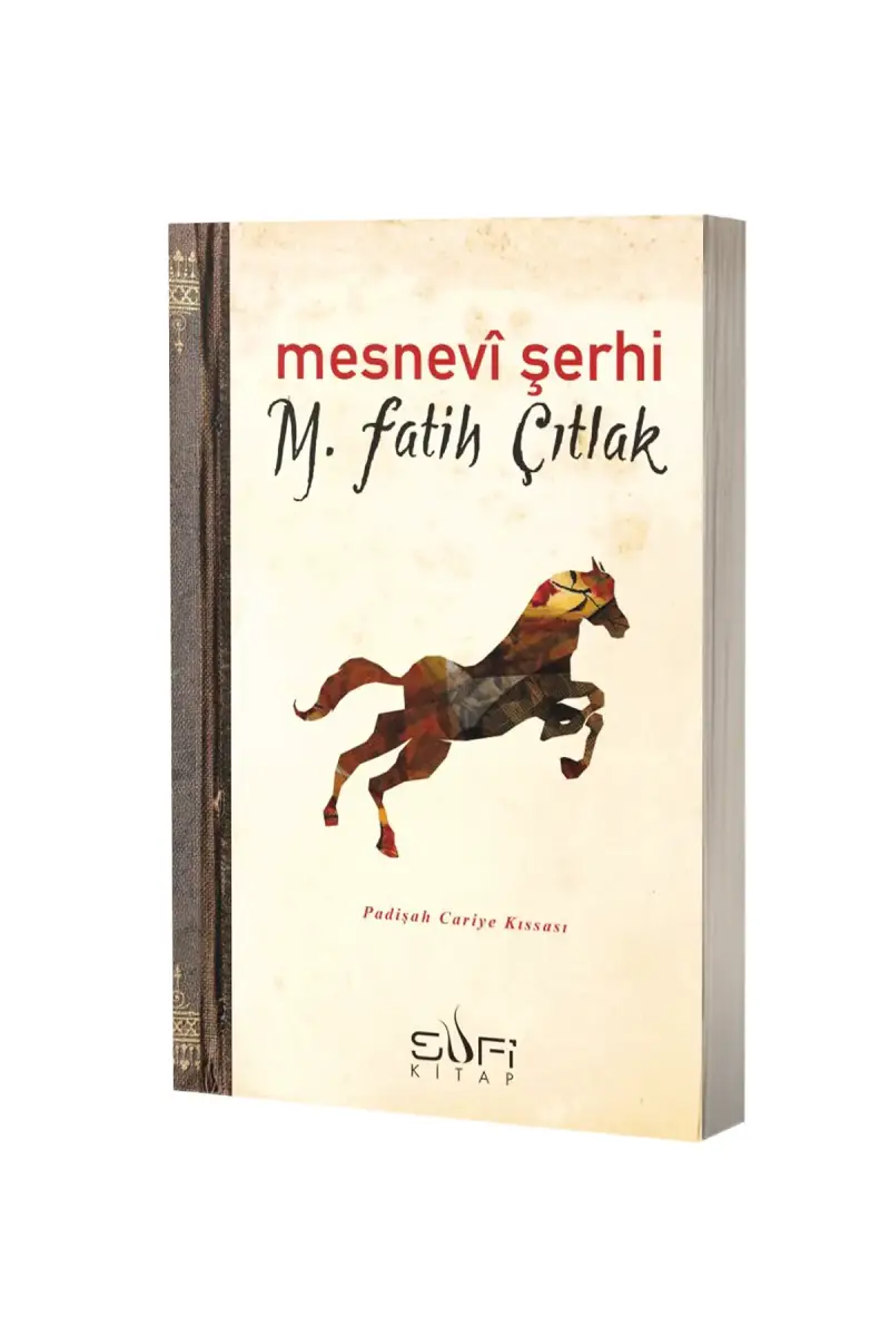 Mesnevi Şerhi - 1