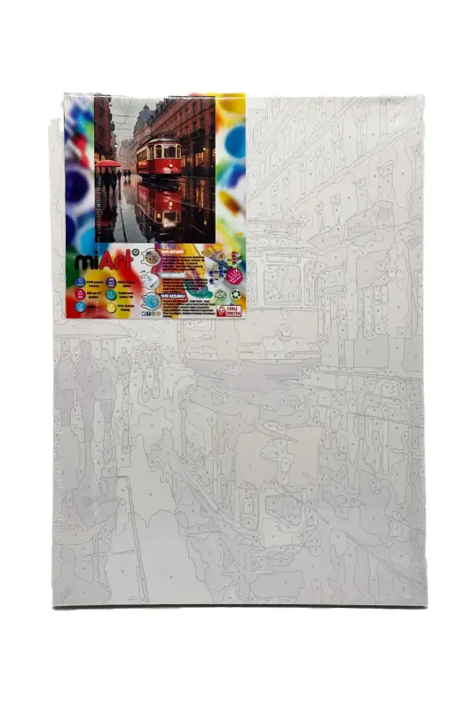 Miart Sayılarla Boyama Seti Taksim 30x40 cm - Miart
