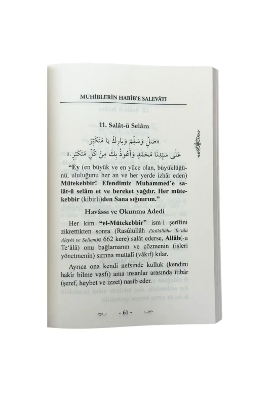 Muhiblerin Habibe Salevatı - 6