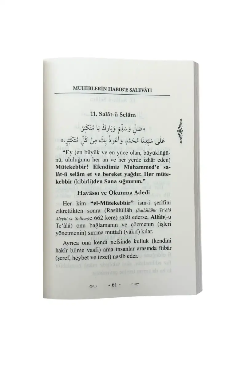 Muhiblerin Habibe Salevatı - 6