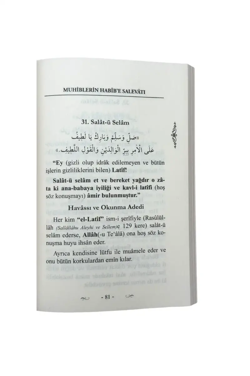 Muhiblerin Habibe Salevatı - 2