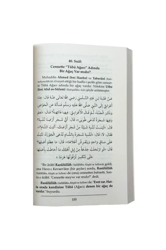 Nasıl Bir Yer Cennet - 4