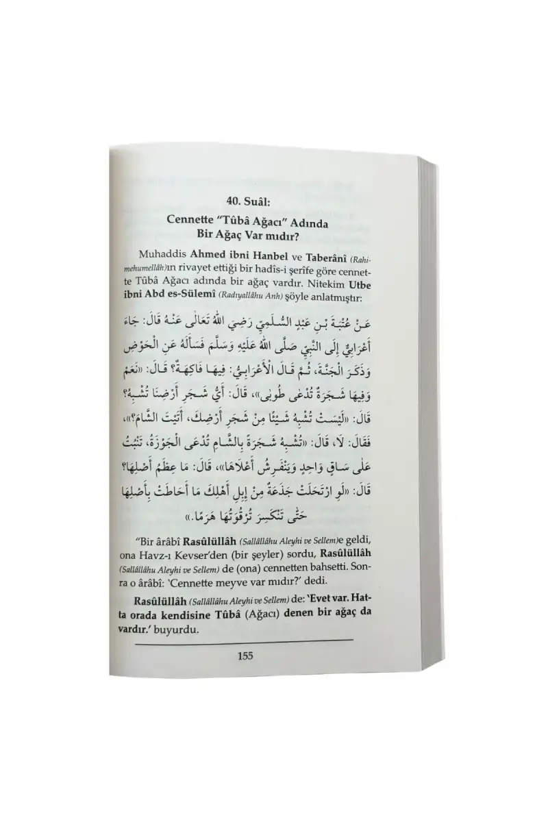 Nasıl Bir Yer Cennet - 4