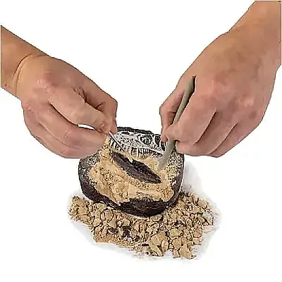 National Geographic Dino Kazı Kiti - 4