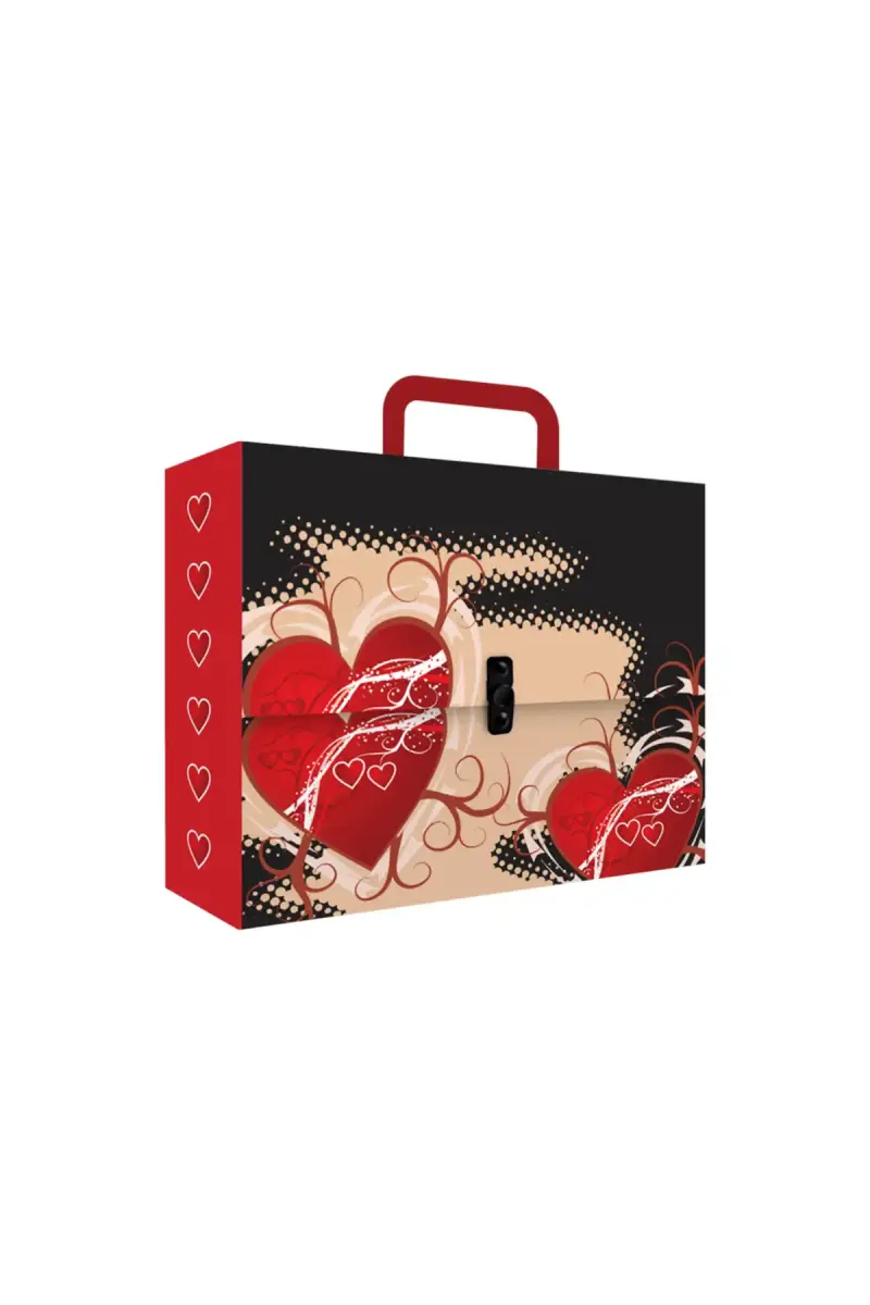 Noki Kutu Klasör Desenli Kulplu Çanta - 1