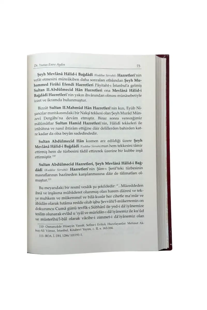 Osmanlıda Fidandan Çınara Manevi Kökler - 3