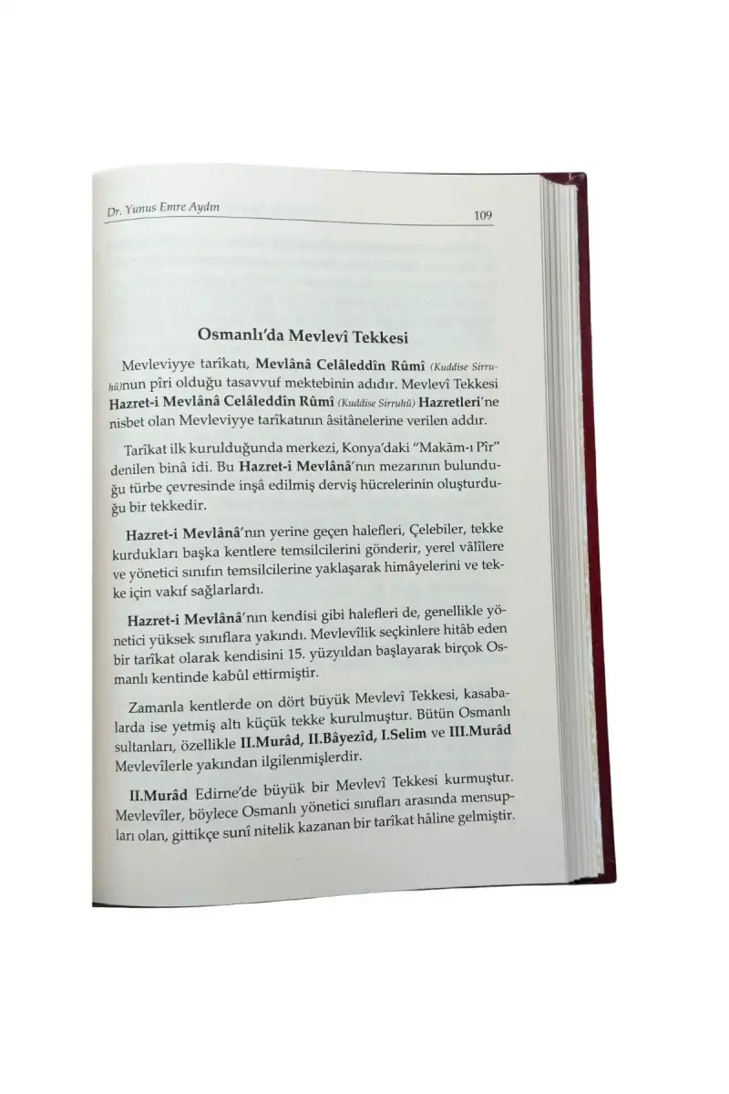 Osmanlıda Fidandan Çınara Manevi Kökler - 4