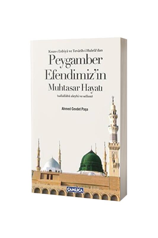 Peygamber Efendimizin Muhtasar Hayatı - Çamlıca Kitap