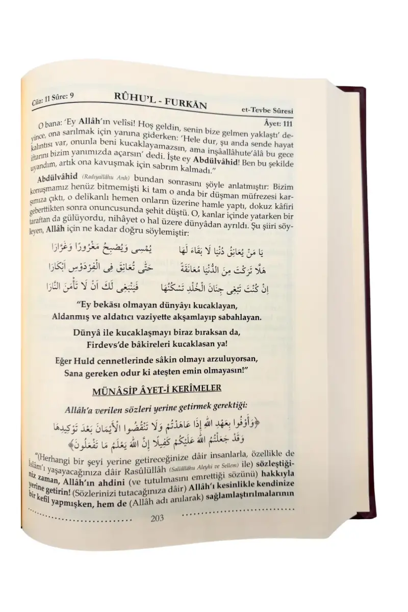 Ruhul Furkan Tefsiri 18. Cilt - Deri - 2