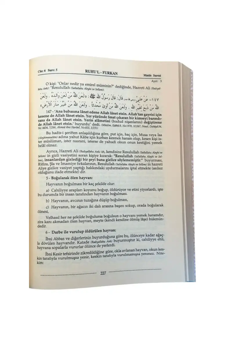 Ruhul Furkan Tefsiri 6. Cilt - Deri - 2