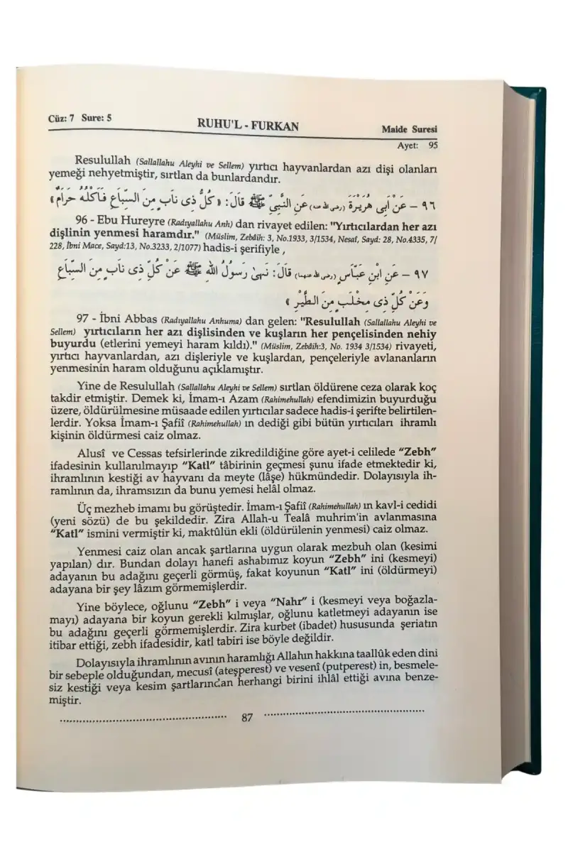 Ruhul Furkan Tefsiri 8. Cilt - 2