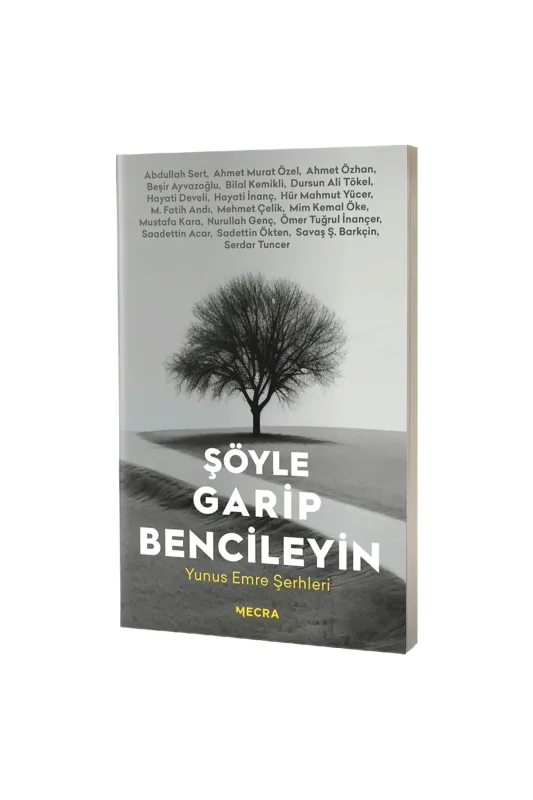 Şöyle Garip Bencileyin - Mecra Kitap