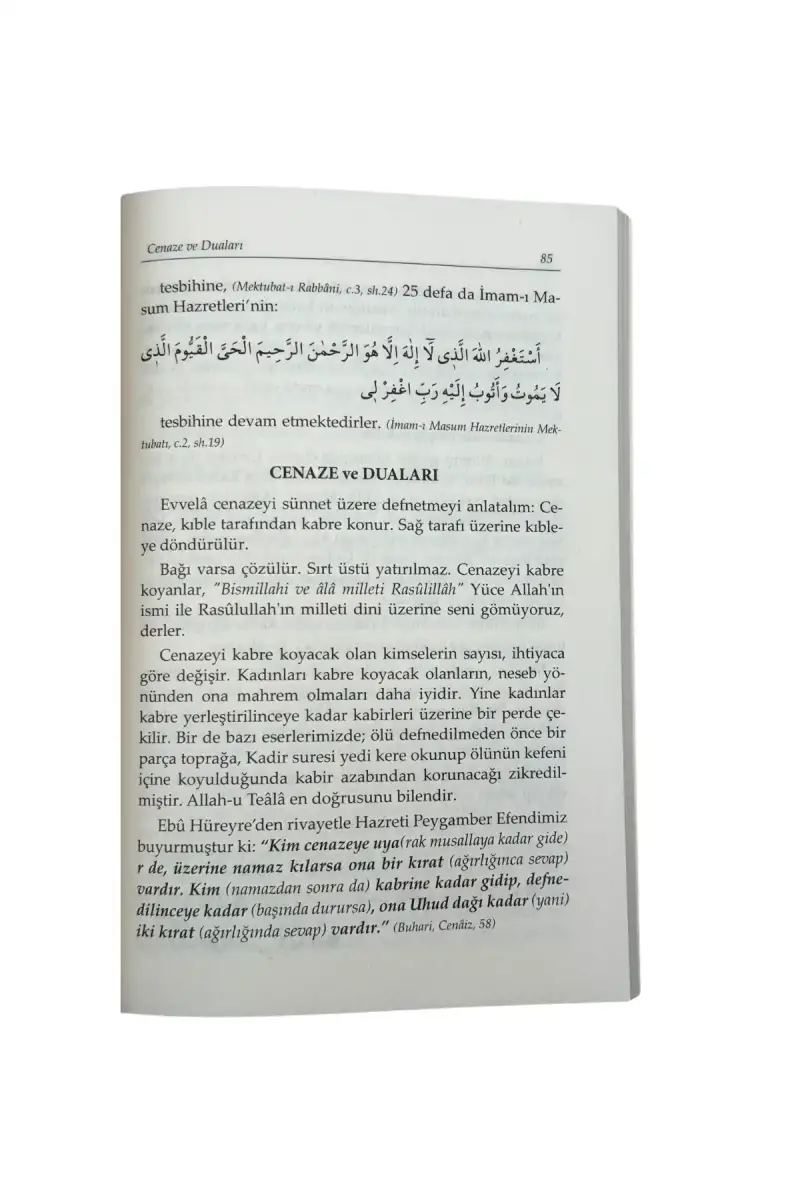 Talebenin Hazinesi Roman Boy - Karton Kapak - 4