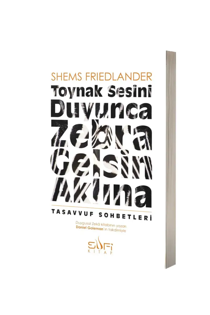 Toynak Sesini Duyunca Zebra Gelsin Aklına - 1