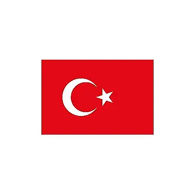 Vatan 30x45 Türk Bayrağı - 2